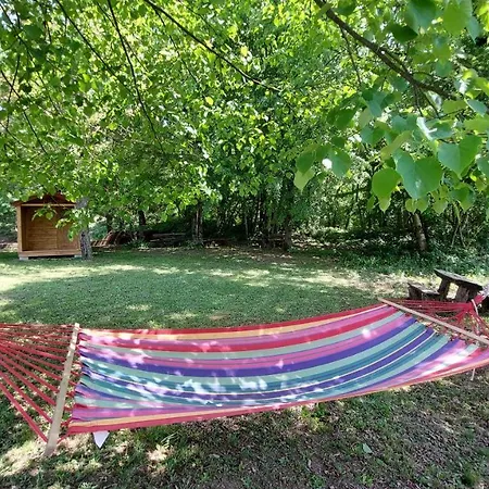 Koca Sredi Gozda Guest house *