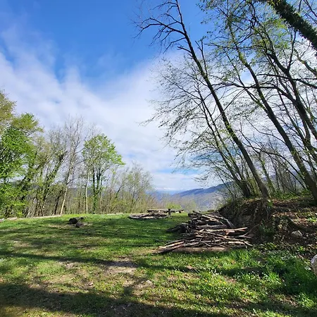 Πανσιόν Koca Sredi Gozda *