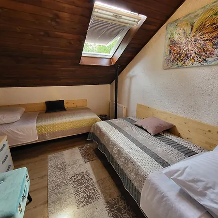 Koca Sredi Gozda Guest house Kanal