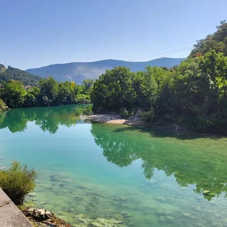 Koca Sredi Gozda *