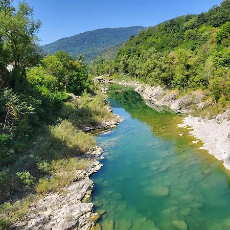 Koca Sredi Gozda