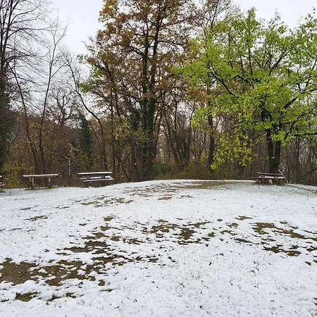 Casa de hóspedes Koca Sredi Gozda *