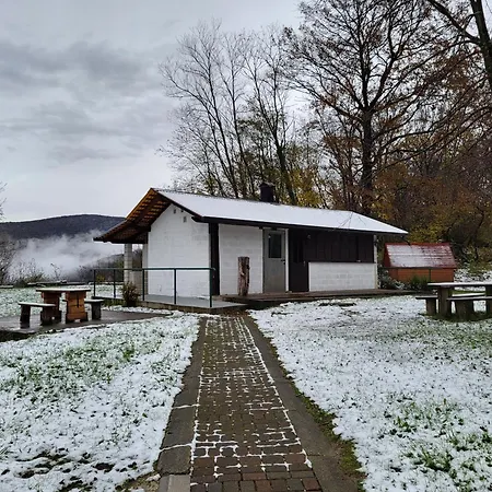 Koca Sredi Gozda