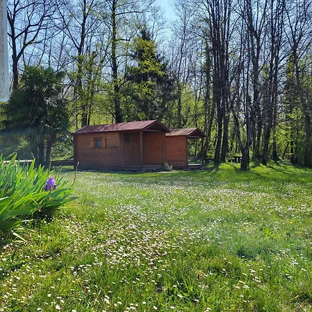 Koca Sredi Gozda Gasthof Kanal