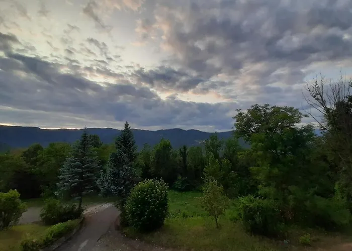 Koca Sredi Gozda Penzion