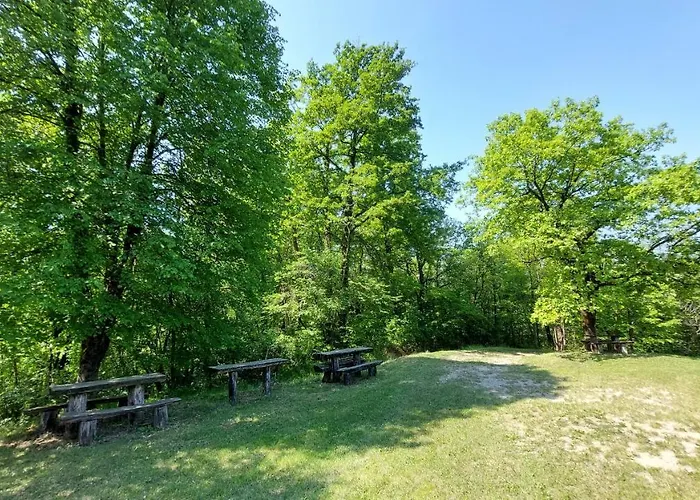 Penzion Koca Sredi Gozda *