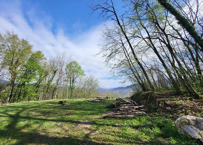 Hiša za goste Koca Sredi Gozda *