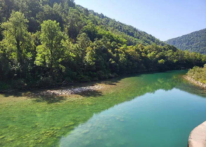 Koca Sredi Gozda * Kanal