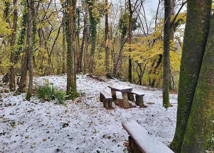 Penzion Koca Sredi Gozda Kanal