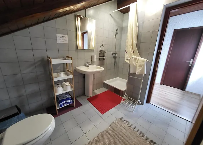 Koca Sredi Gozda Penzion *