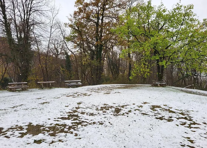 Penzion Koca Sredi Gozda *